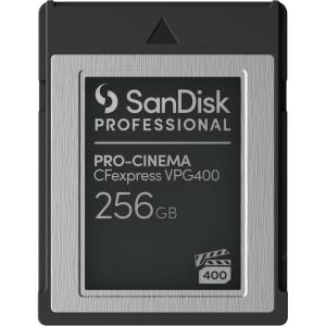 imageSanDisk Professional 256GB PROCinema CFexpress VPG400 Type B  HighPerformance Camera Card  SDPCVN4256GGNANN BlackMemory Card Only