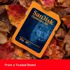 imageSanDisk 128GB 2Pack Outdoors 4K SDXC UHSI Memory Card 2x128GB  Up to 180MBs C10 U3 V30 Trail Camera SD Card  SDSDXWA128GGN6V264GB 2Pack