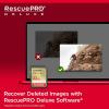 imageSanDisk 256GB Extreme SDXC UHSI Memory Card  C10 U3 V30 4K UHD SD Card  SDSDXVV256GGNCIN32GB