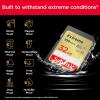 imageSanDisk 256GB Extreme SDXC UHSI Memory Card  C10 U3 V30 4K UHD SD Card  SDSDXVV256GGNCIN32GB