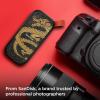 imageSanDisk 1TB Portable SSD  Up to 800MBs USBC USB 32 Gen 2 Updated Firmware  External Solid State Drive  SDSSDE301T00G26Dragon Edition
