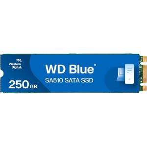 imageWestern Digital 2TB WD Blue SA510 SATA Internal Solid State Drive SSD  SATA III 6 Gbs M2 2280 Up to 560 MBs  WDS200T3B0BNew Generation